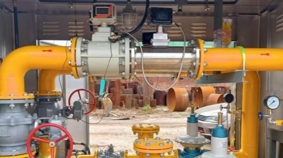Aplicación del medidor de flujo rotatorio de gas ZINACA en el fabricante de bombas de medición monta